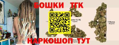 индика Славгород