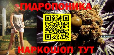 индика Славгород