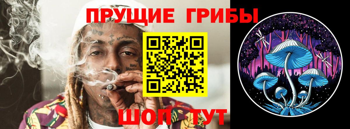 Галлюциногенные грибы Magic Shrooms Ярославль