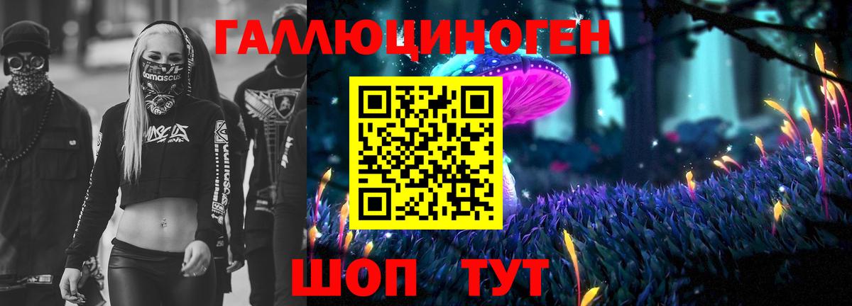 Псилоцибиновые грибы Psilocybe  Вход с VPN  Ярославль 